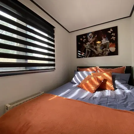Holiday home De Kolibrie