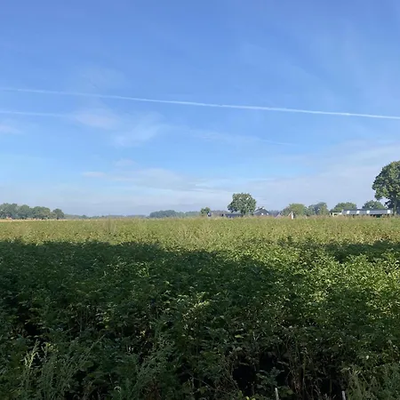 De Kolibrie *