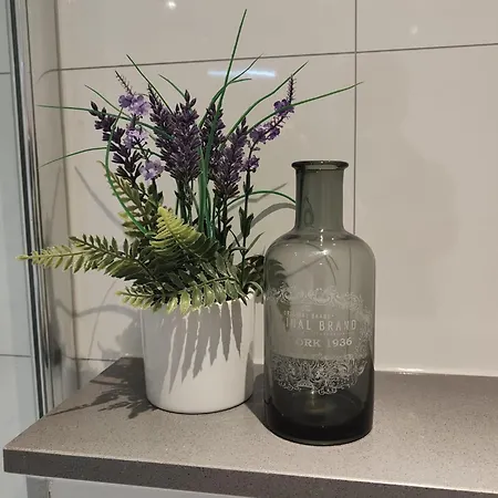 De Kolibrie Σπίτι διακοπών