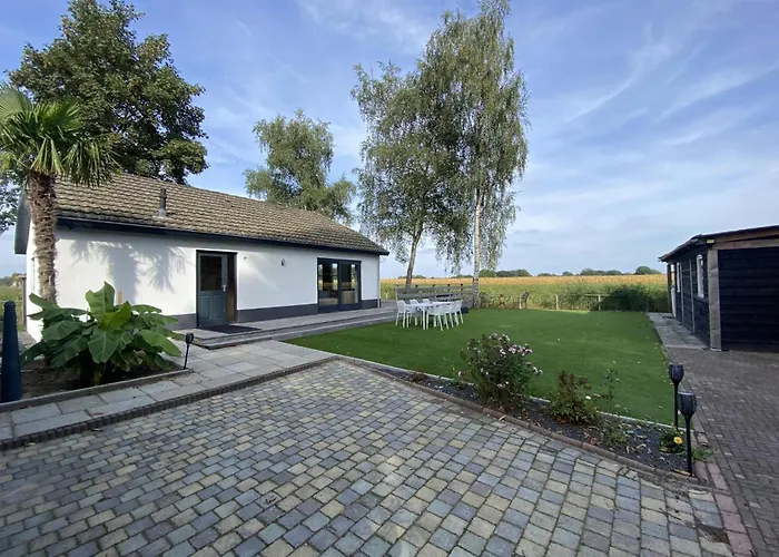 De Kolibrie * خارديرن