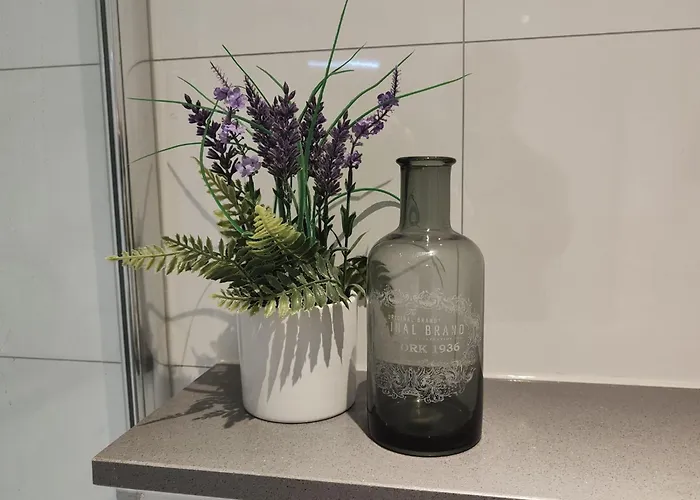 De Kolibrie بيت للعطل